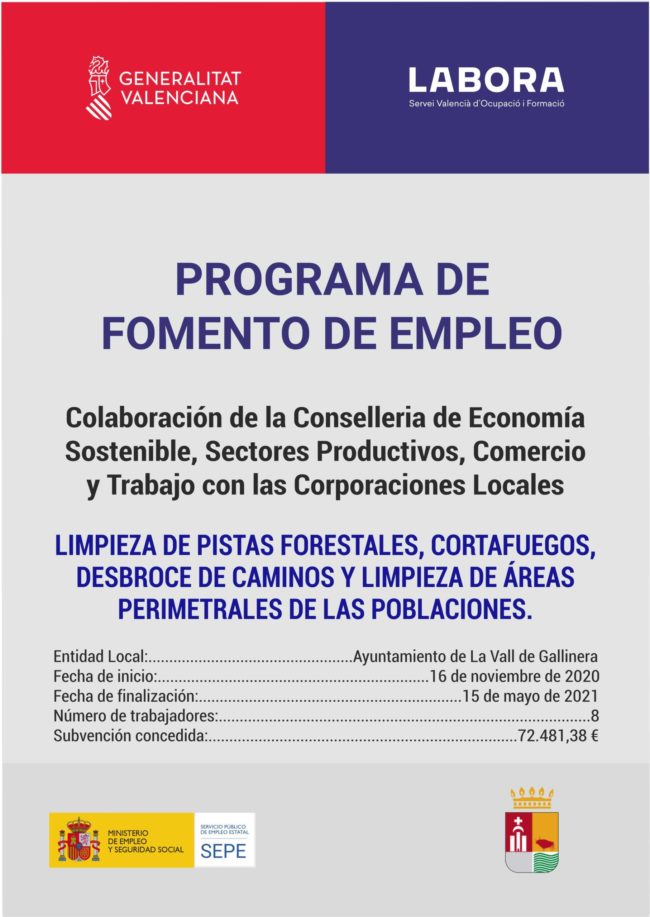 cartell NOU SEPE_EMERGE 2020