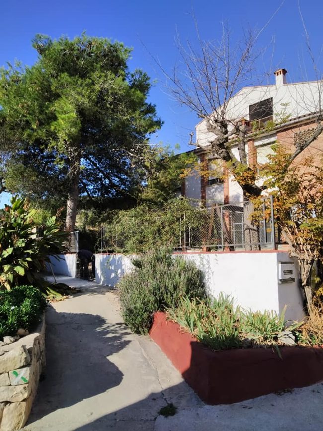 127164875_3813788355331848_4941471992913228901_n