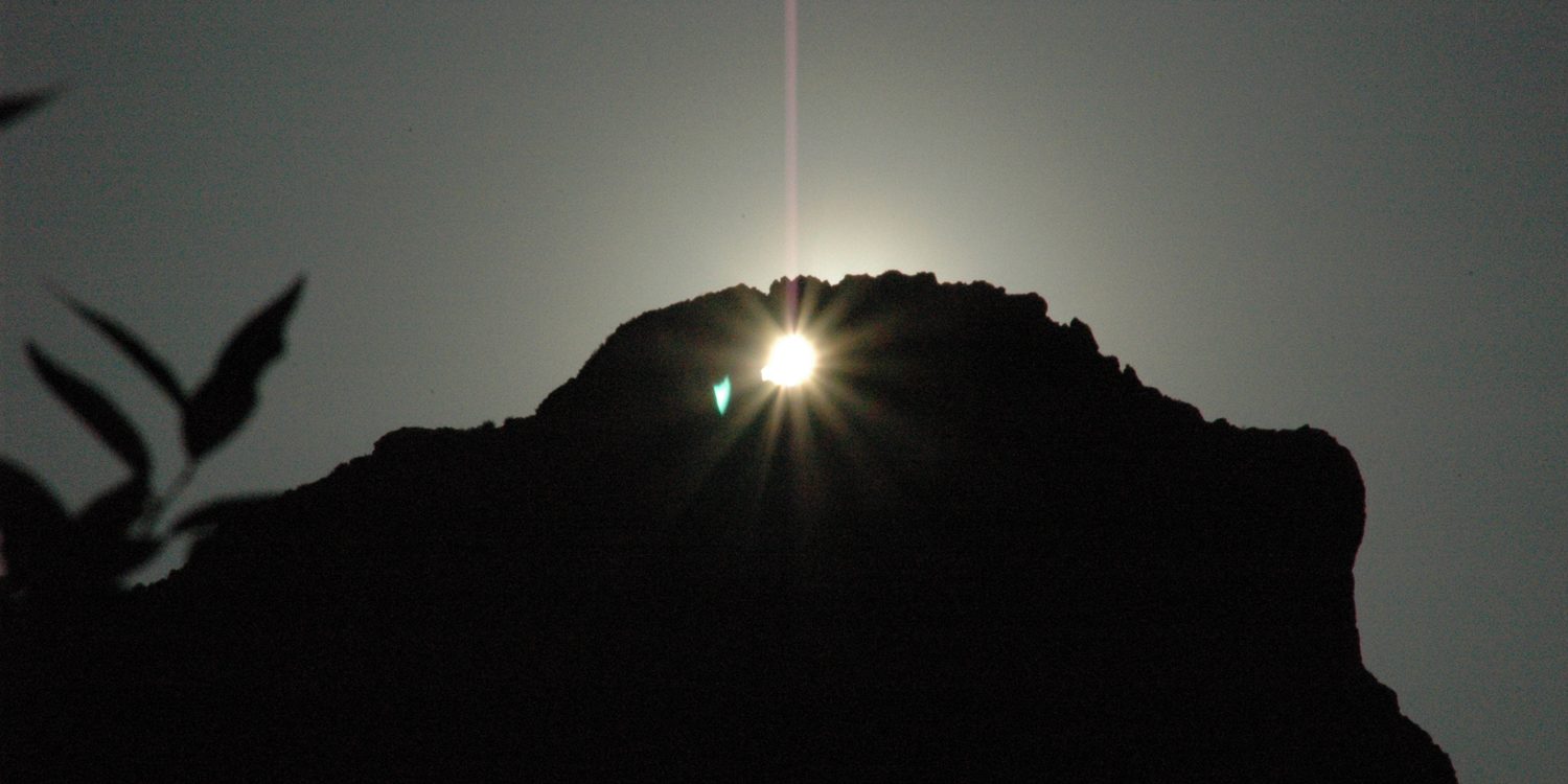 Alineació solar de la Foradà (1)