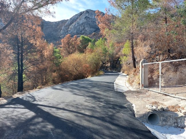 WhatsApp Image 2023-11-16 at 18.36.01 (1)