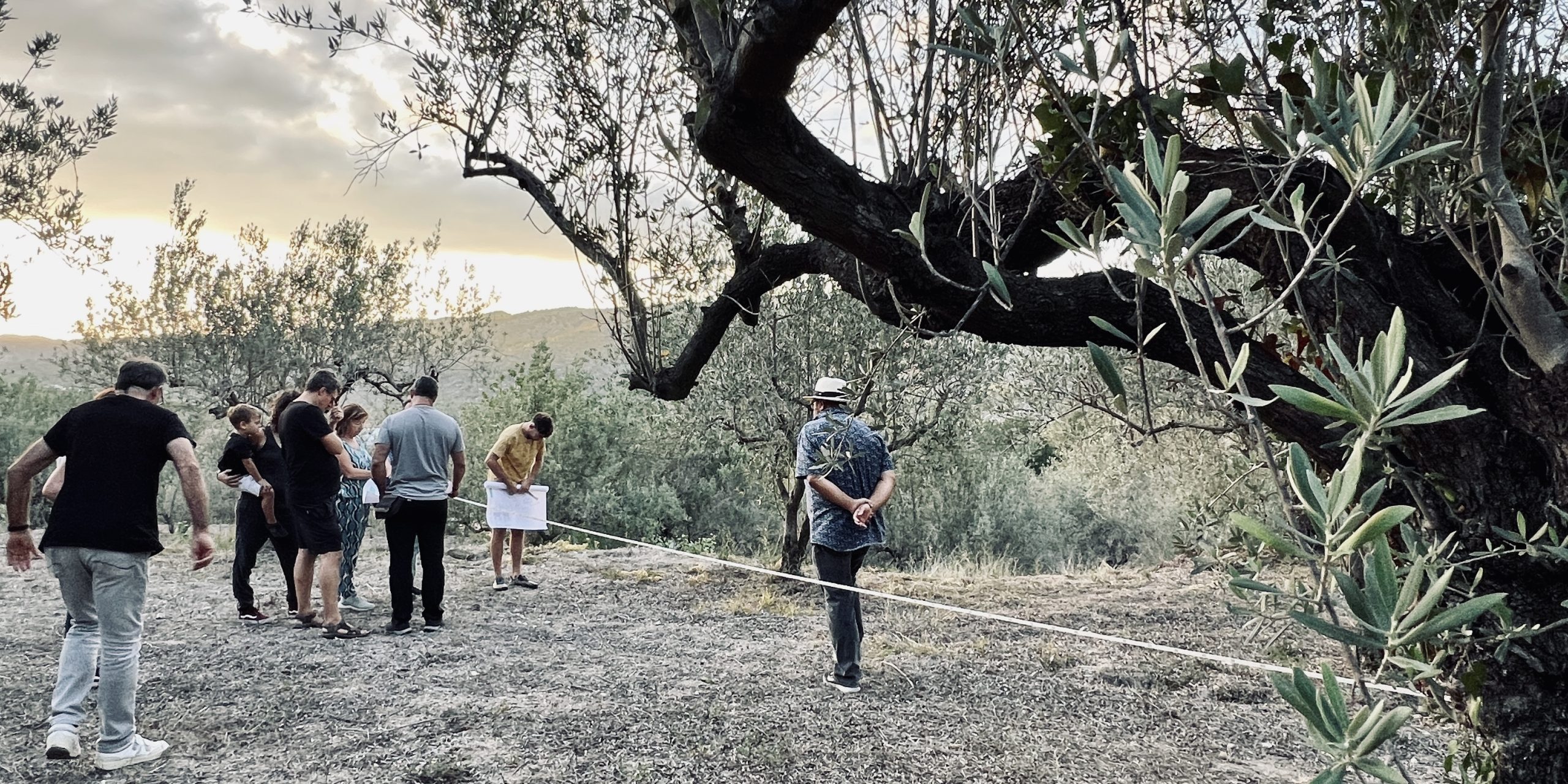 des de l’olivera vella