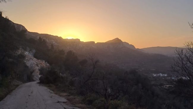 WhatsApp Image 2025-01-23 at 21.11.20