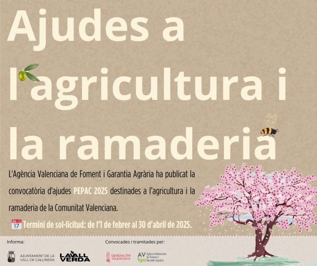 WhatsApp Image 2025-02-10 at 17.59.50