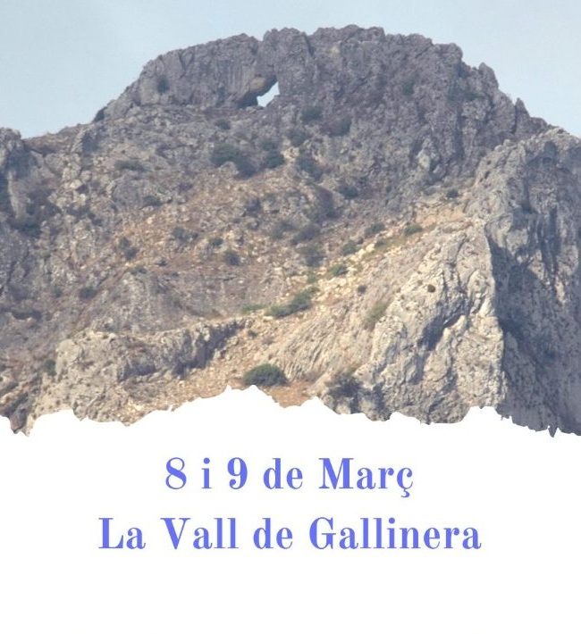 WhatsApp Image 2025-02-20 at 12.44.51