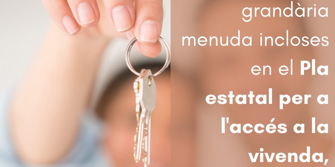 WhatsApp Image 2025-07-04 at 13.04.59