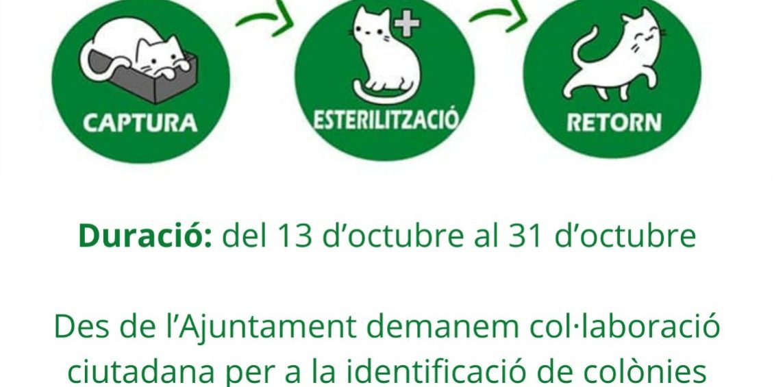 Campanya d'esterilització de gats a la Vall de Gallinera
