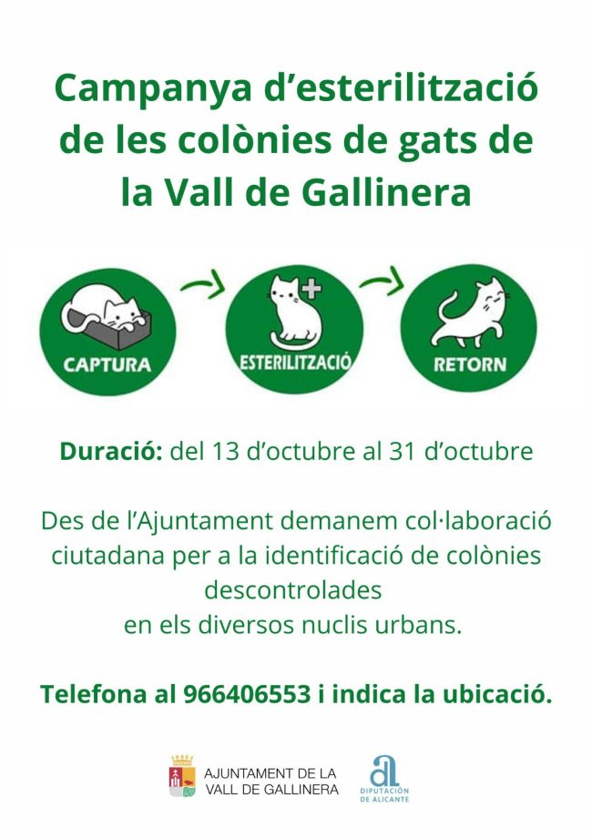 Campanya d'esterilització de gats a la Vall de Gallinera