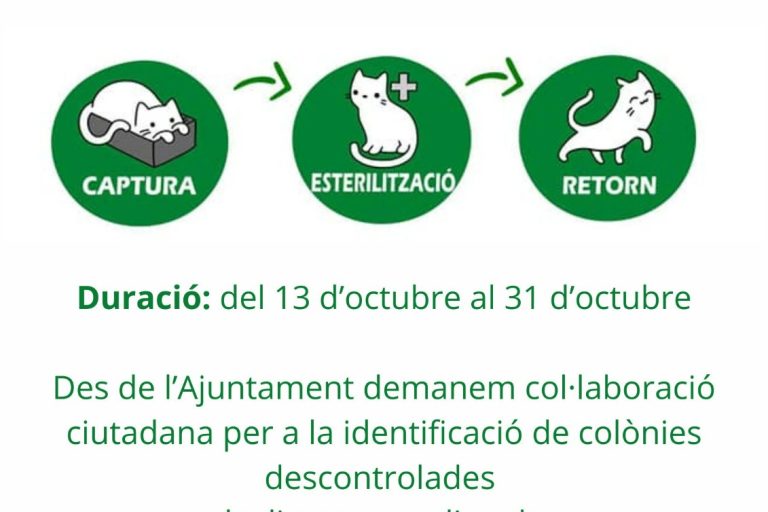 Campanya d'esterilització de gats a la Vall de Gallinera