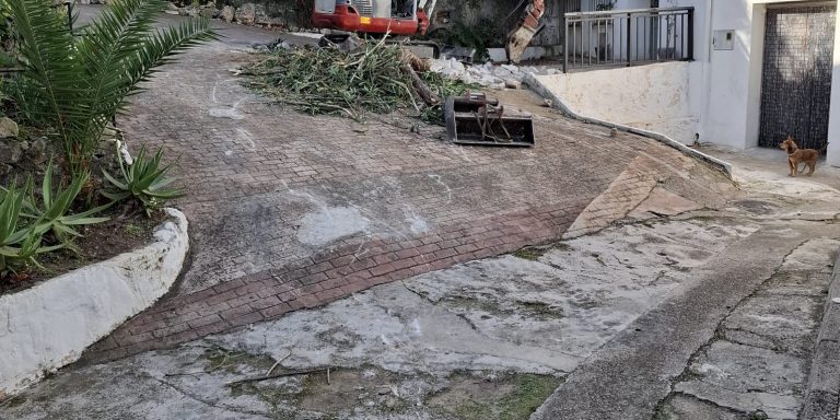 WhatsApp Image 2025-12-05 at 11.43.03