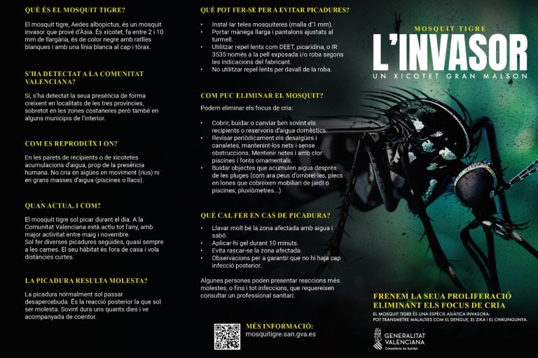 WhatsApp Image 2026-03-27 at 13.59.44