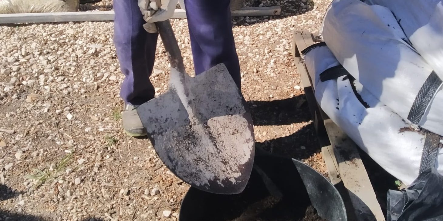 WhatsApp Image 2026-03-31 at 12.08.58