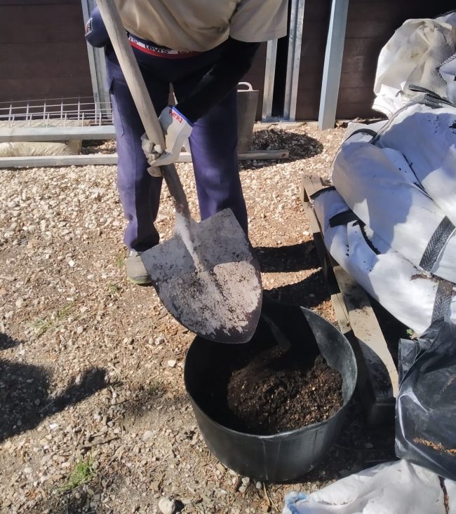 WhatsApp Image 2026-03-31 at 12.08.58